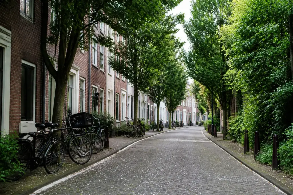 Rue calme bordee de maisons avec arbres et velos