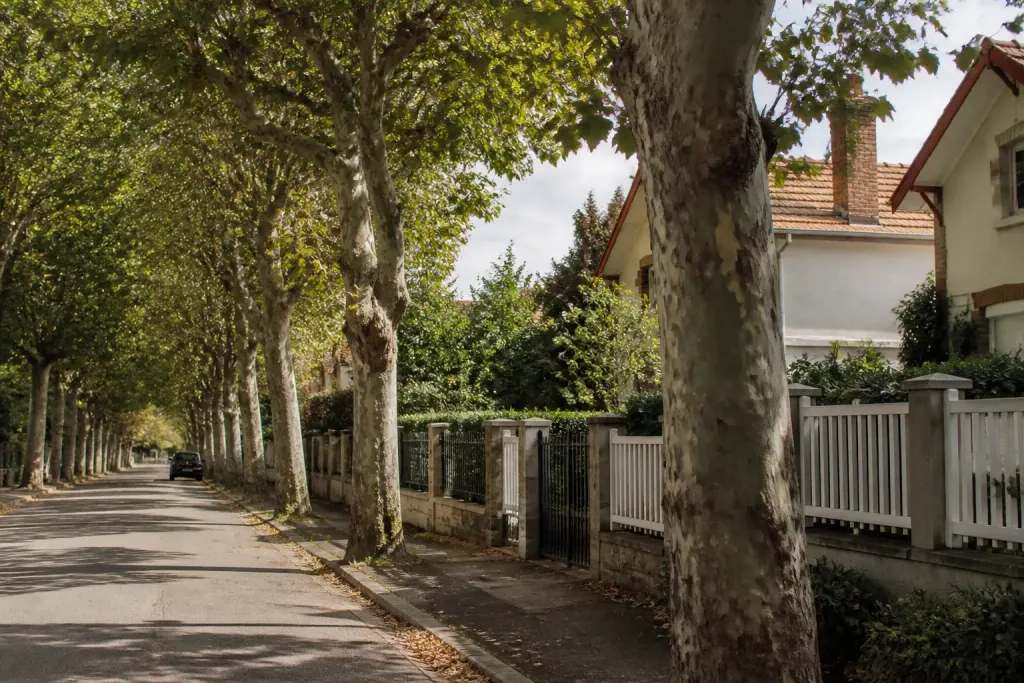 Rue calme bordee de platanes et de pavillons